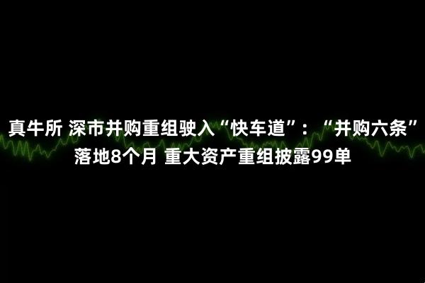 真牛所 深市并购重组驶入“快车道”：“并购六条”落地8个月 重大资产重组披露99单
