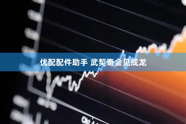 优配配件助手 武契奇会见成龙