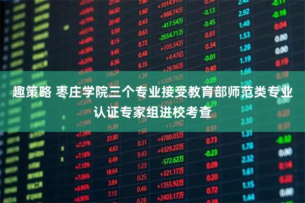 趣策略 枣庄学院三个专业接受教育部师范类专业认证专家组进校考查