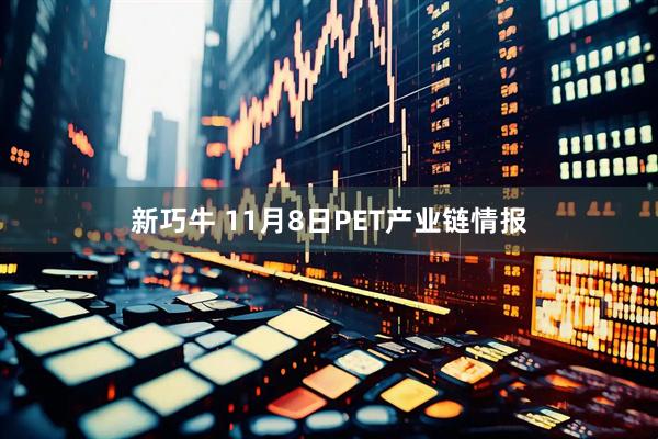 新巧牛 11月8日PET产业链情报