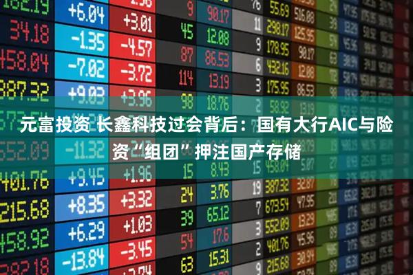元富投资 长鑫科技过会背后：国有大行AIC与险资“组团”押注国产存储