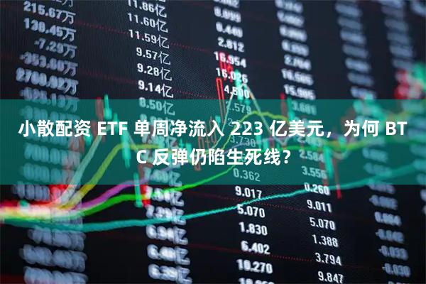 小散配资 ETF 单周净流入 223 亿美元，为何 BTC 反弹仍陷生死线？